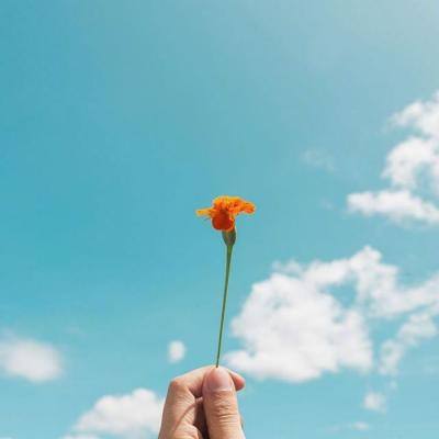 海南兴隆房价截图